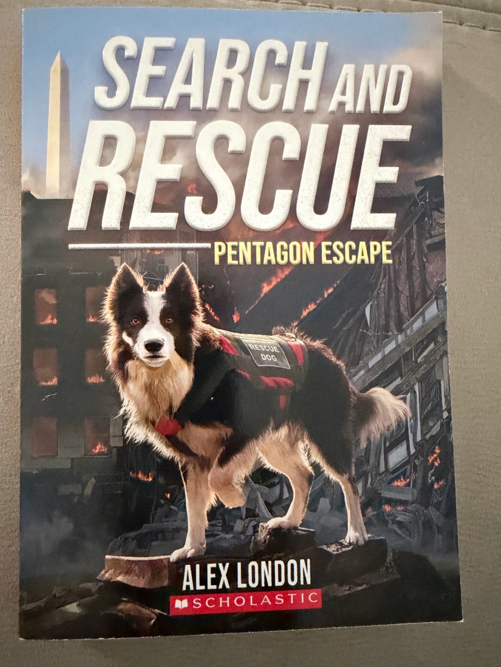 Scholastic Search and Rescue: Pentagon Escape - Black and White Rescue Dog Book